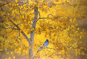 "Medallions" Stellar's Jay by Dan D'Amico, a wildlife painting of a Stellar's Jay in an aspen tree.